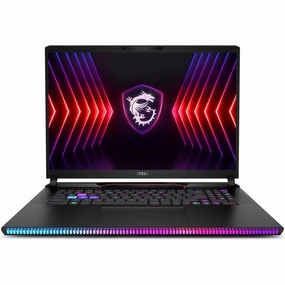 MSI Raider 17" QHD  240Hz Gaming Laptop (Intel Core i9-14900HX, NVIDIA GeForce RTX 4070, 32GB RAM, 1TB SSD, Windows 11 Home) C Core Black computer monitors, 4k monitor for work, gaming monitors sale
