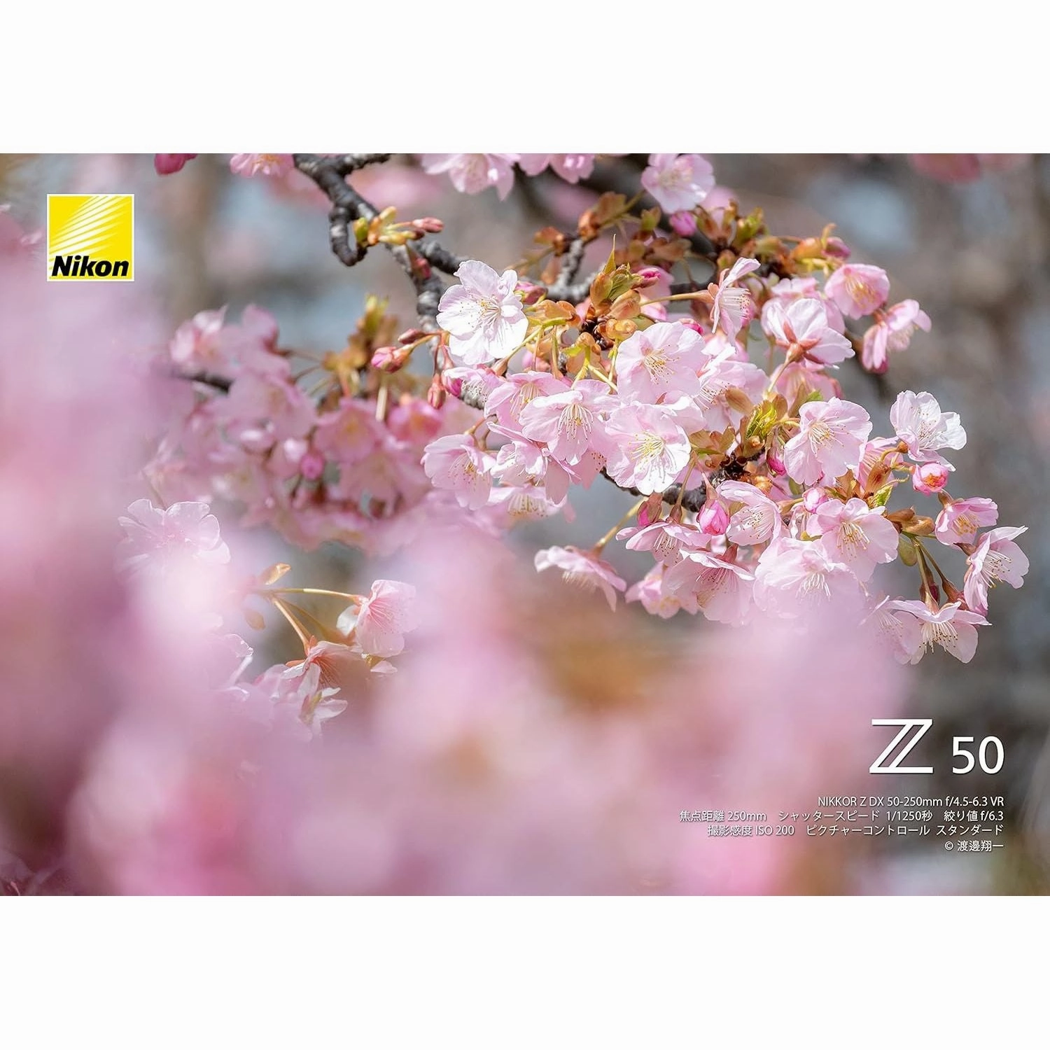 Nikon Z50 Mirrorless Camera Kit with Z DX 16-50mm Lens