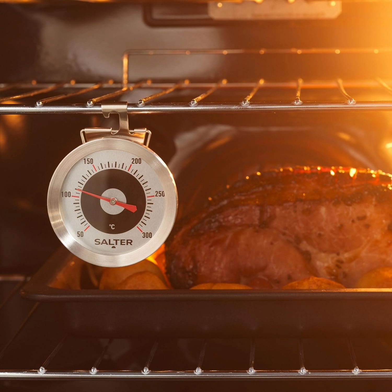 Salter 513 SSCR Oven Thermometer - Stainless Steel Dial, 50-300C, Instant Read, Adjustable Viewing Angle, Bold Display, For Home/Kitchen Use