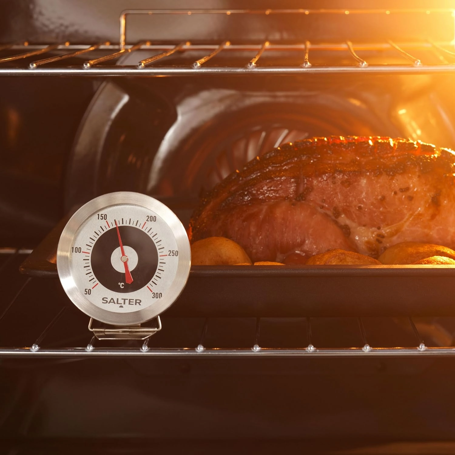 Salter 513 SSCR Oven Thermometer - Stainless Steel Dial, 50-300C, Instant Read, Adjustable Viewing Angle, Bold Display, For Home/Kitchen Use