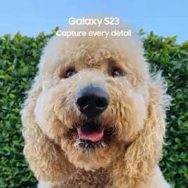 Samsung Galaxy S23 5G Smartphone - 256GB, 8GB RAM, Green, Unlocked (SM-S911B/DS)