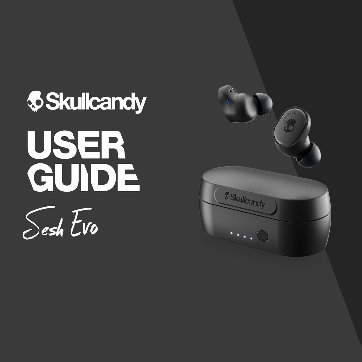 Skullcandy Sesh Evo True Wireless In-Ear Bluetooth Earbuds Compatible with iPhone and Android/Charging Case and Microphone/Great for Gym, Sports, and Gaming IP55 Water Dust Resistant - Black