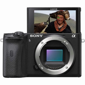 Sony Alpha 6600 - APS-C mirrorless camera (fast 0.02s autofocus, 5-axis optical image stabilization in the housing) camera and photography, photography gear, professional camera kits