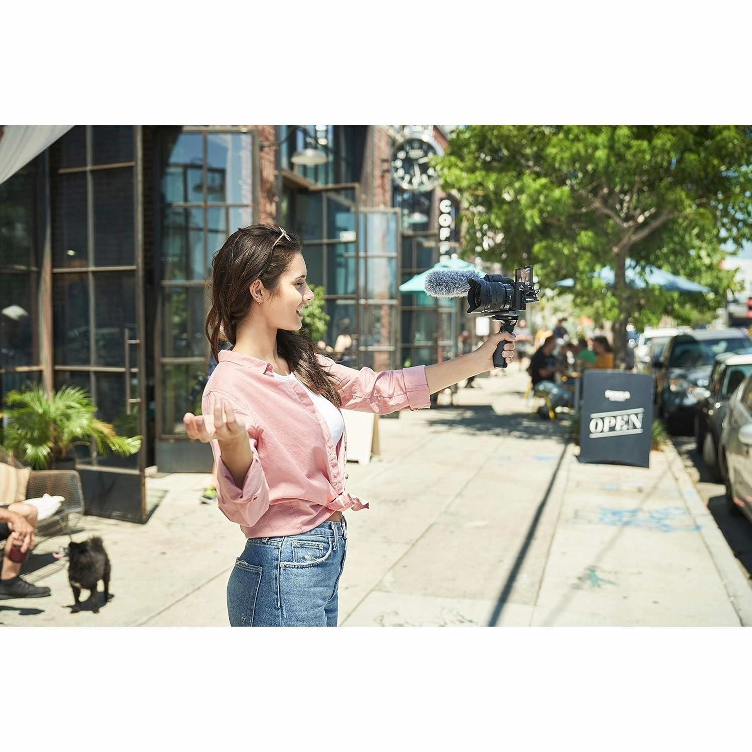 Sony Alpha 6600 - APS-C mirrorless camera (fast 0.02s autofocus, 5-axis optical image stabilization in the housing)