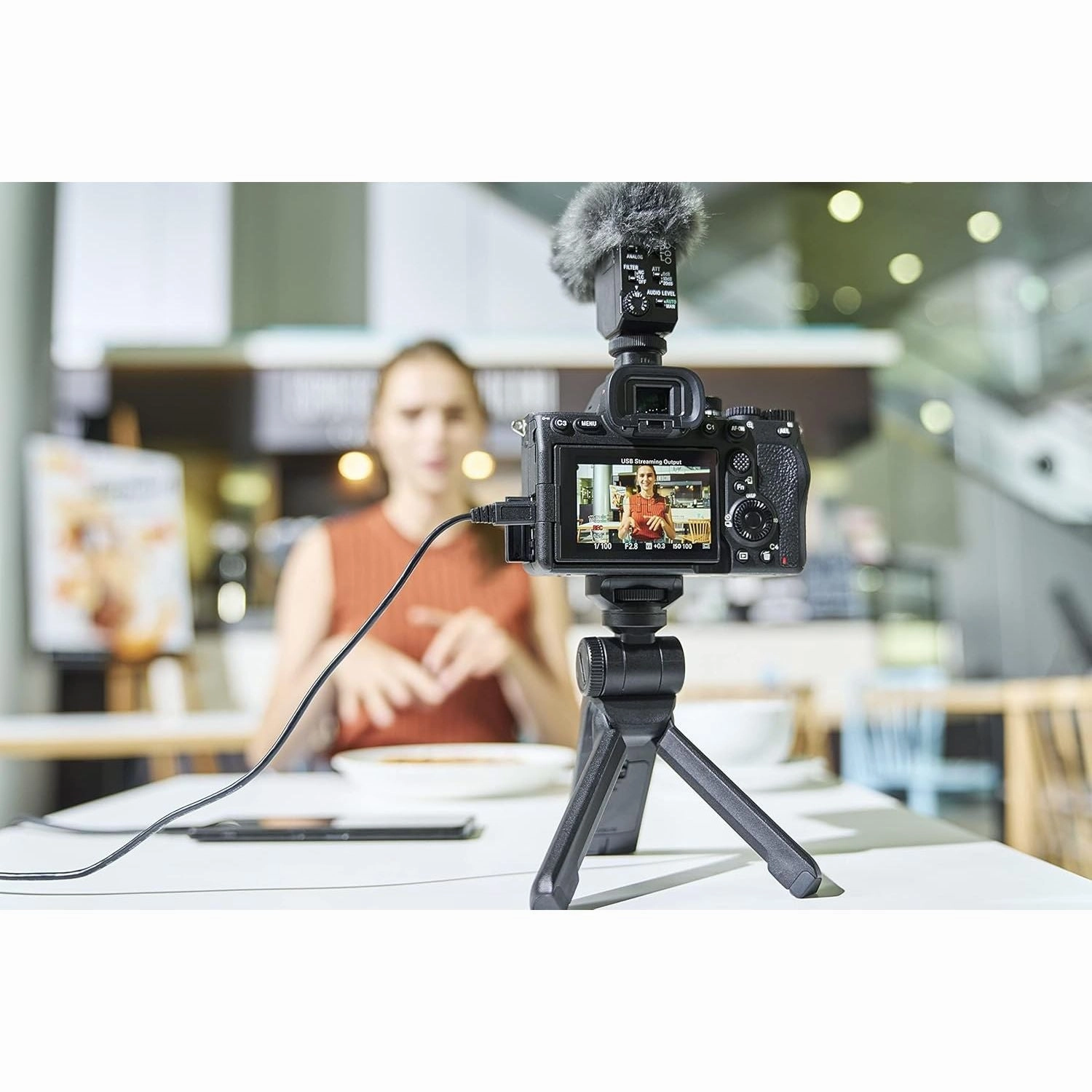 Sony Alpha 7 IV Full-Frame Mirrorless Camera - 33MP, Real-Time Autofocus, 10 fps, 4K60p, Vari-Angle Touch Screen, Large Capacity Z Battery - Black