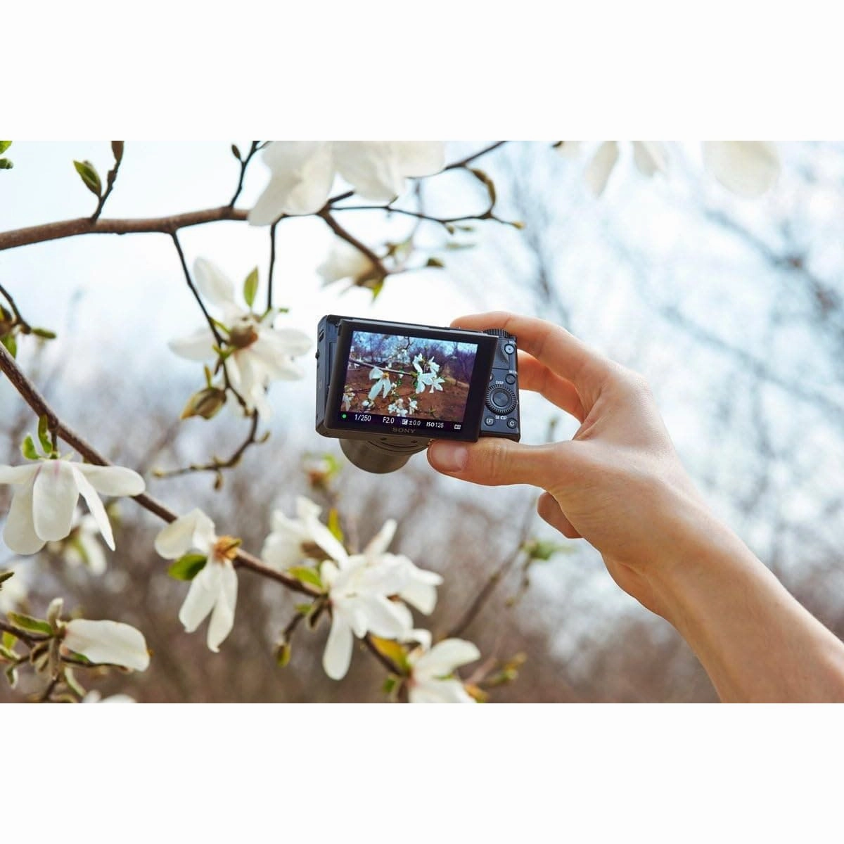 Sony RX100 III | Advanced Premium Compact Camera (1.0-Type Sensor, 24-70 mm F1.8-2.8 Zeiss Lens and Flip Screen for Vlogging)