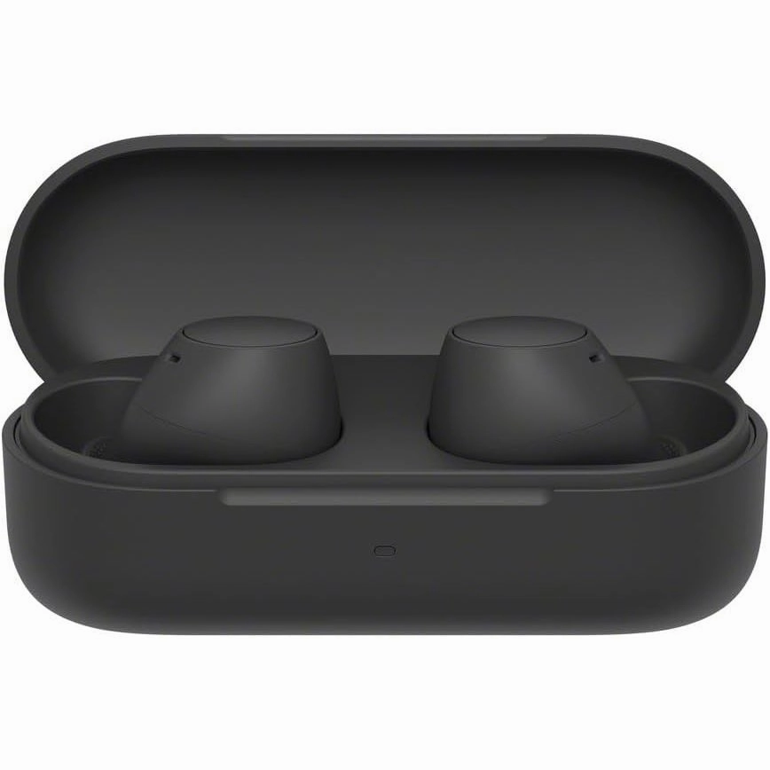 Sony WF-C510 Truly Wireless Earbuds Compact Lightweight and Versatile - Black