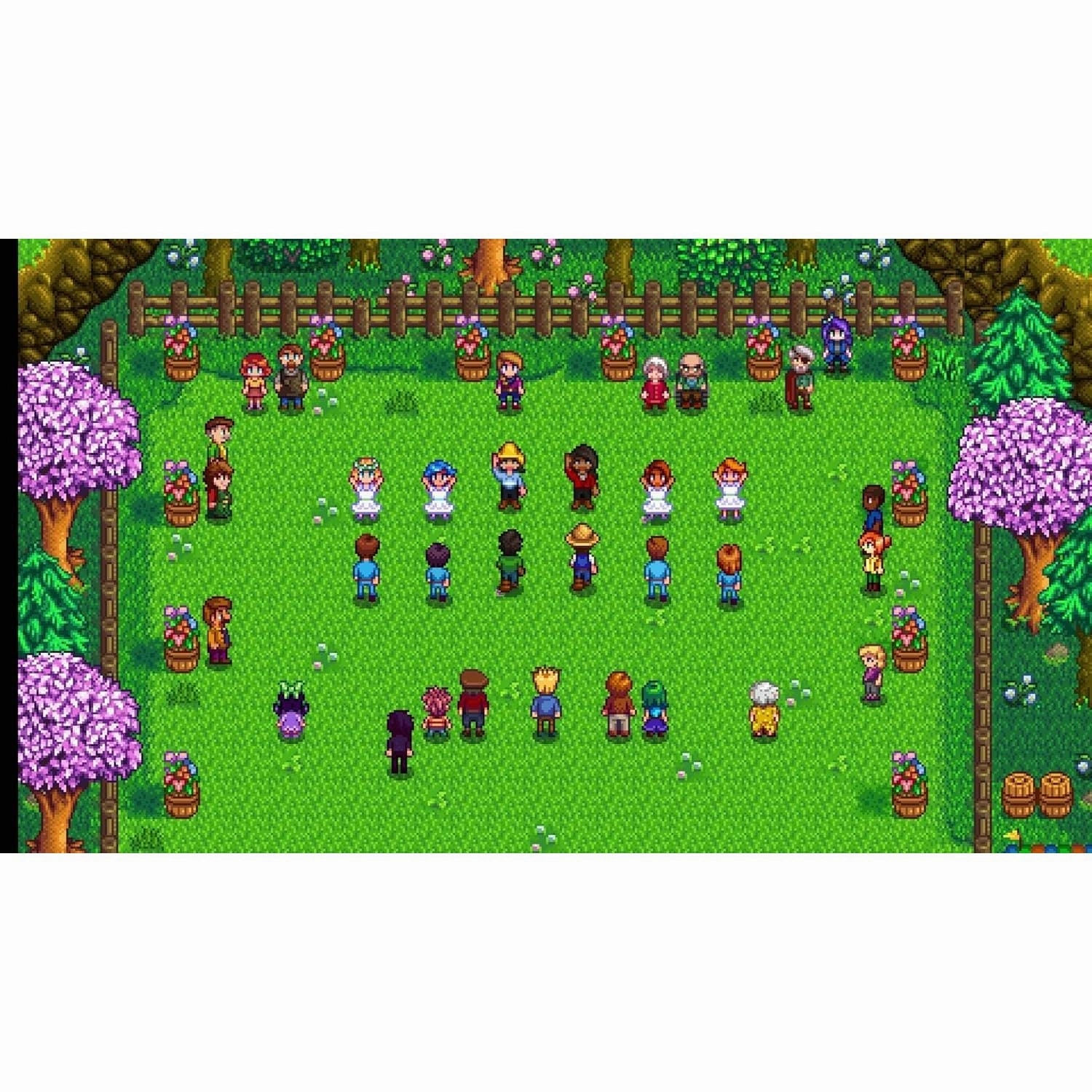 Stardew Valley  Nintendo Switch Game