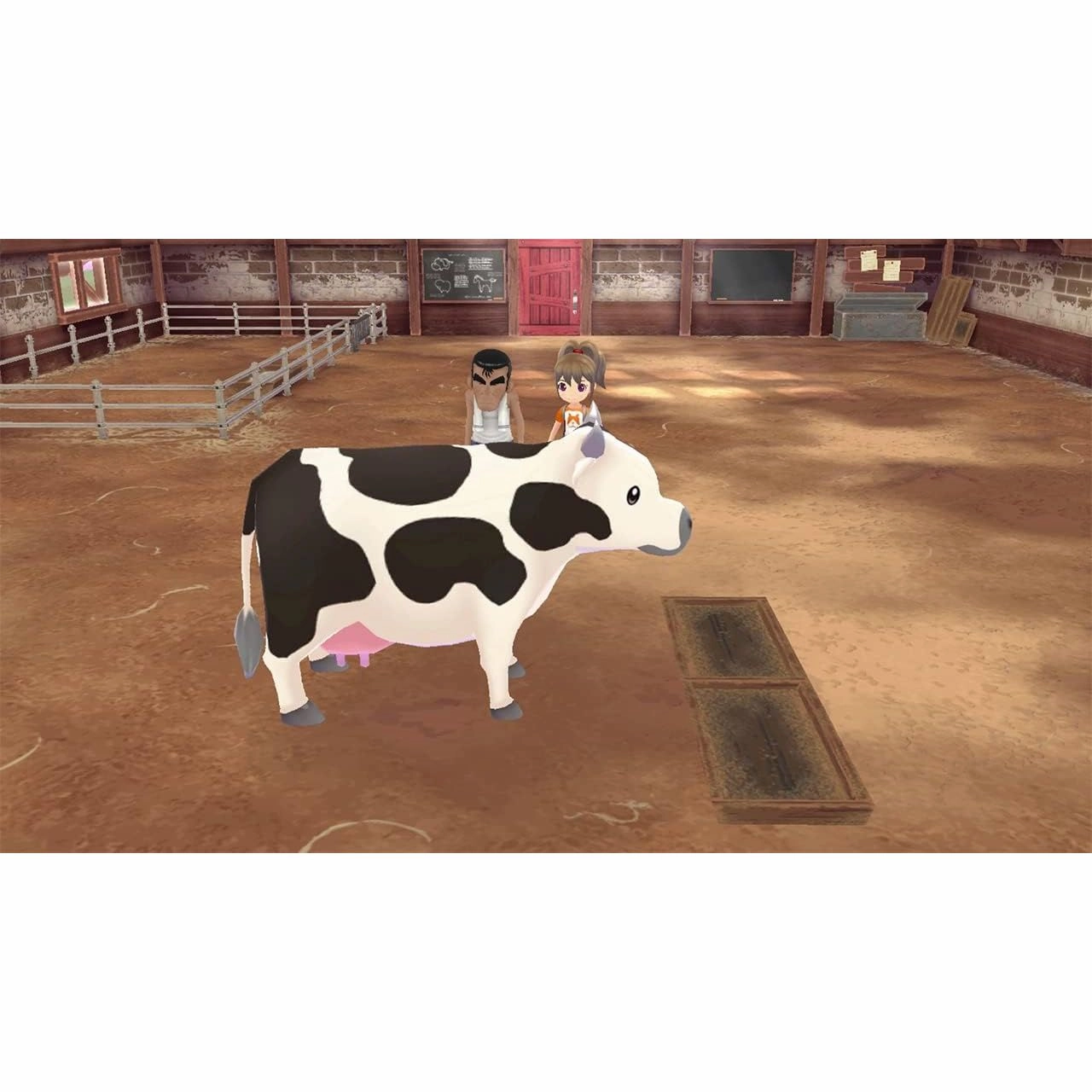Story of Seasons: A Wonderful Life - Nintendo Switch Game