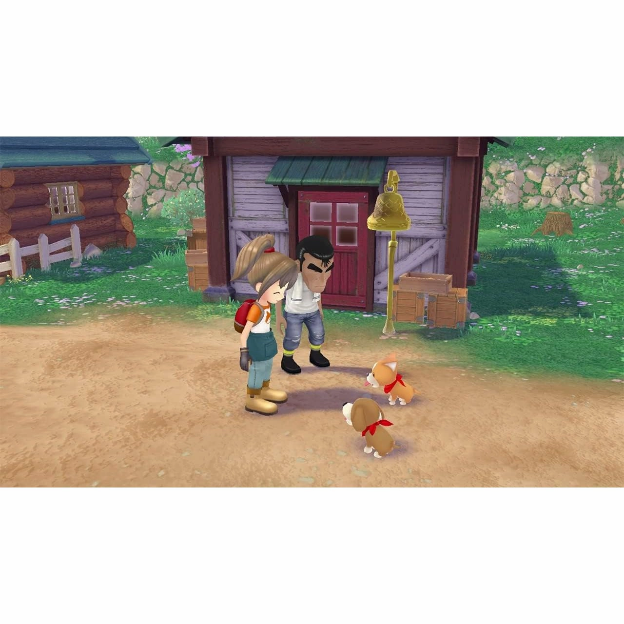 Story of Seasons: A Wonderful Life - Nintendo Switch Game