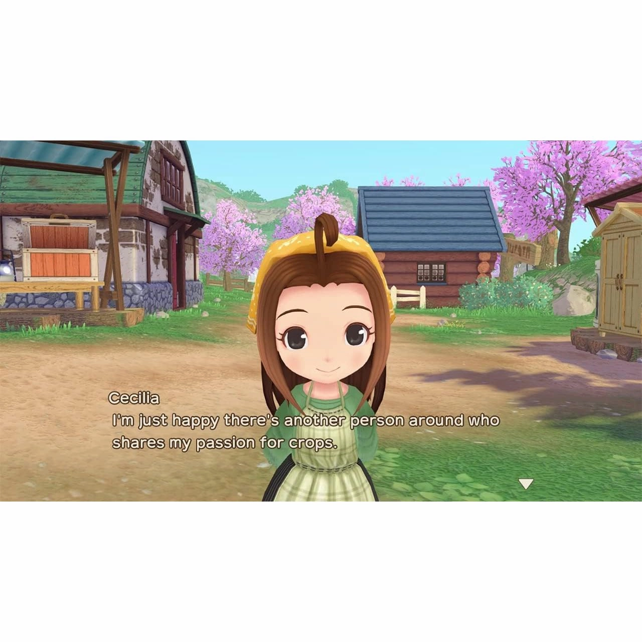 Story of Seasons: A Wonderful Life - Nintendo Switch Game