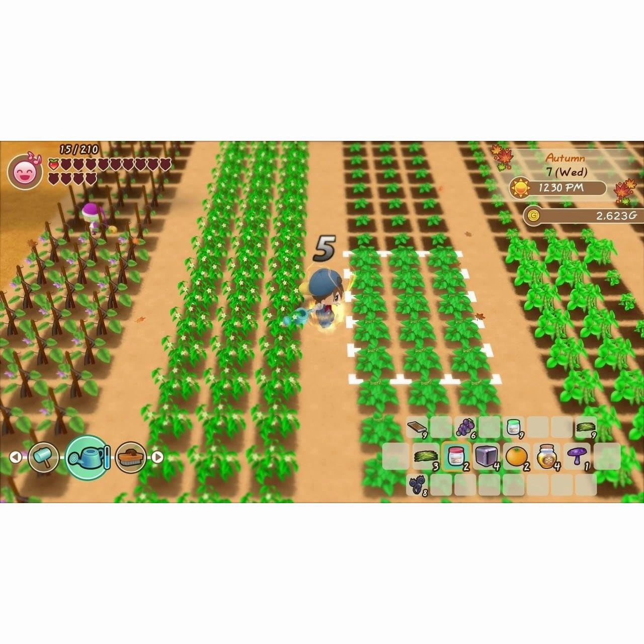 Story of Seasons: Friends Of Mineral Town - Nintendo Switch Game