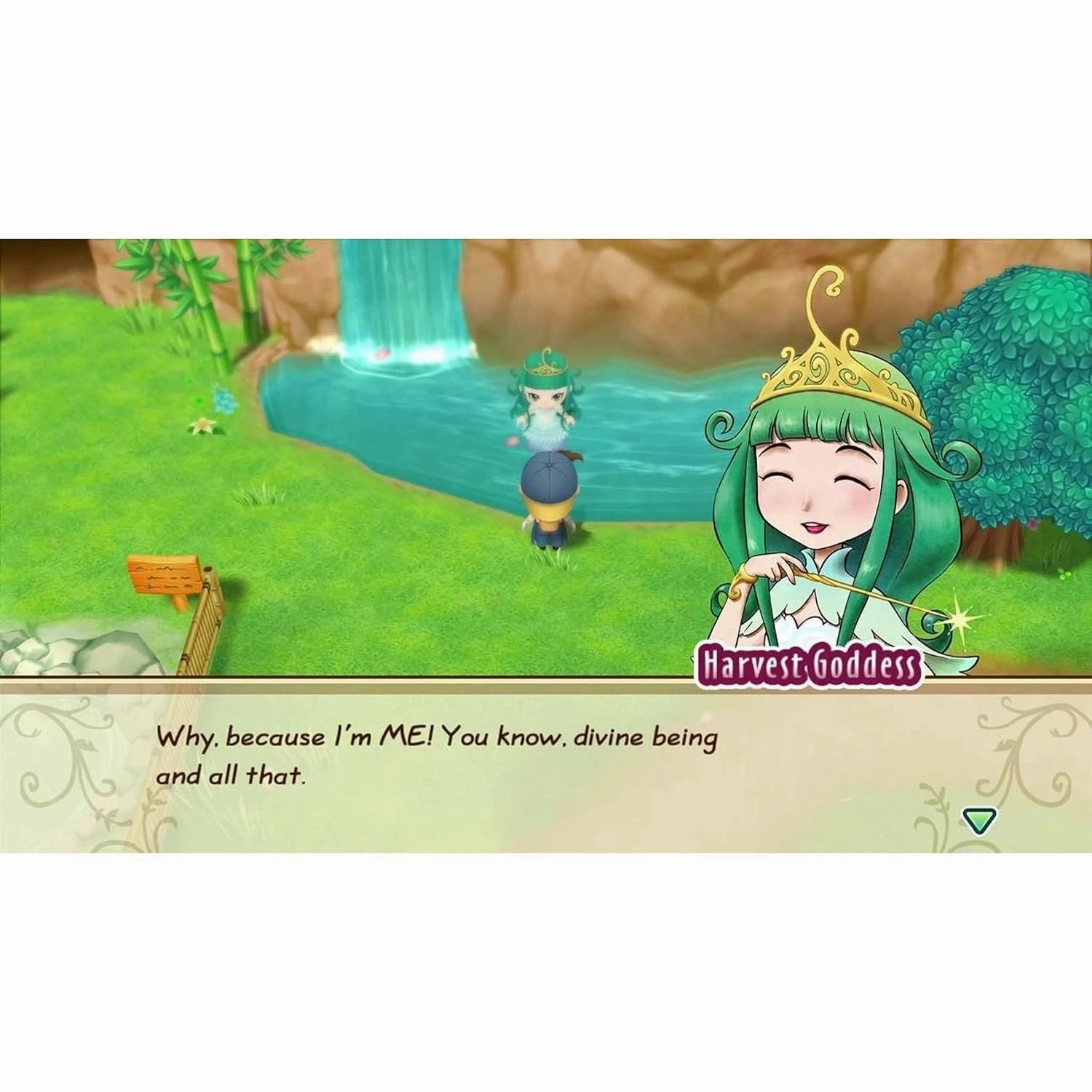 Story of Seasons: Friends Of Mineral Town - Nintendo Switch Game