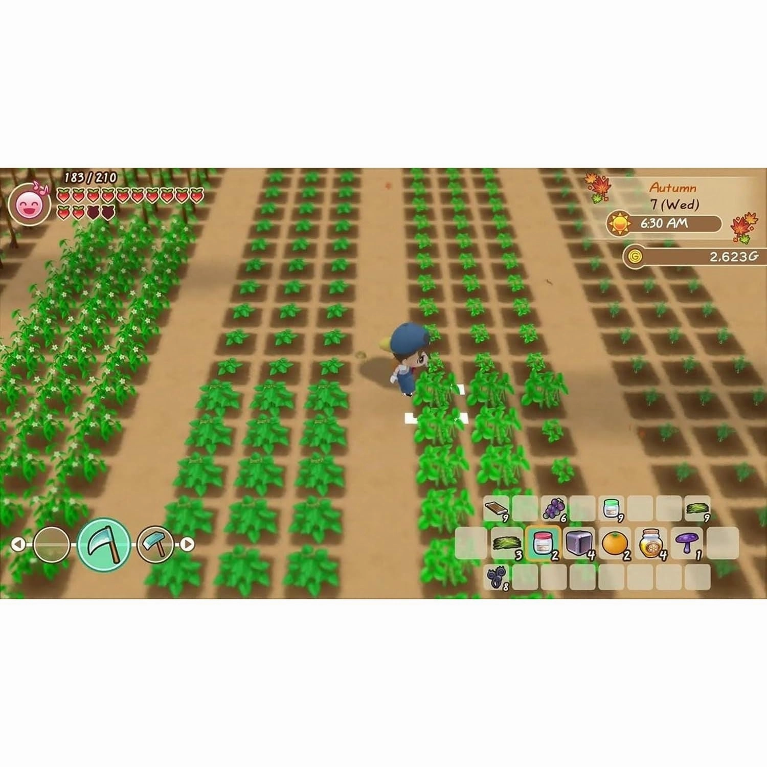 Story of Seasons: Friends Of Mineral Town - Nintendo Switch Game