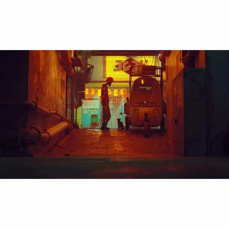 Stray for Playstation 4