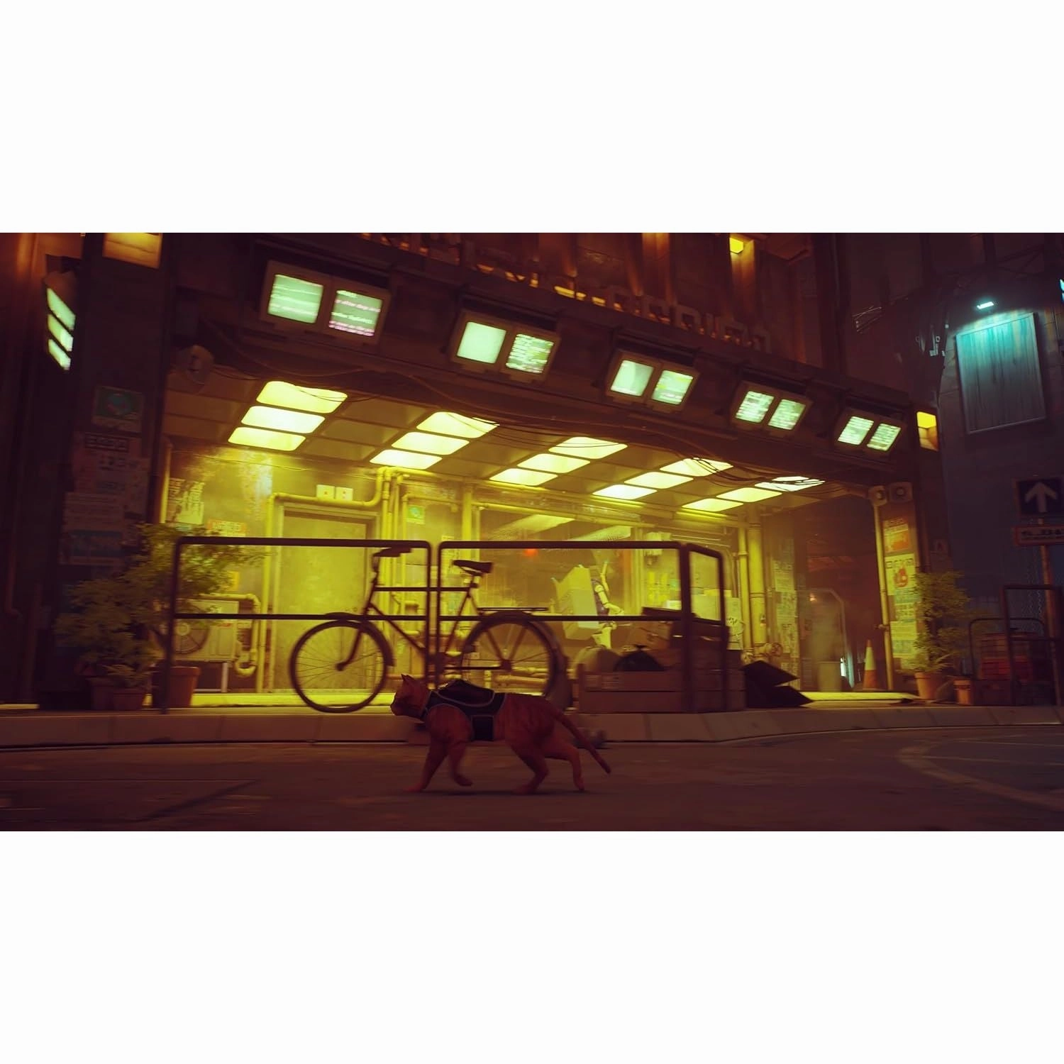 Stray (Nintendo Switch)