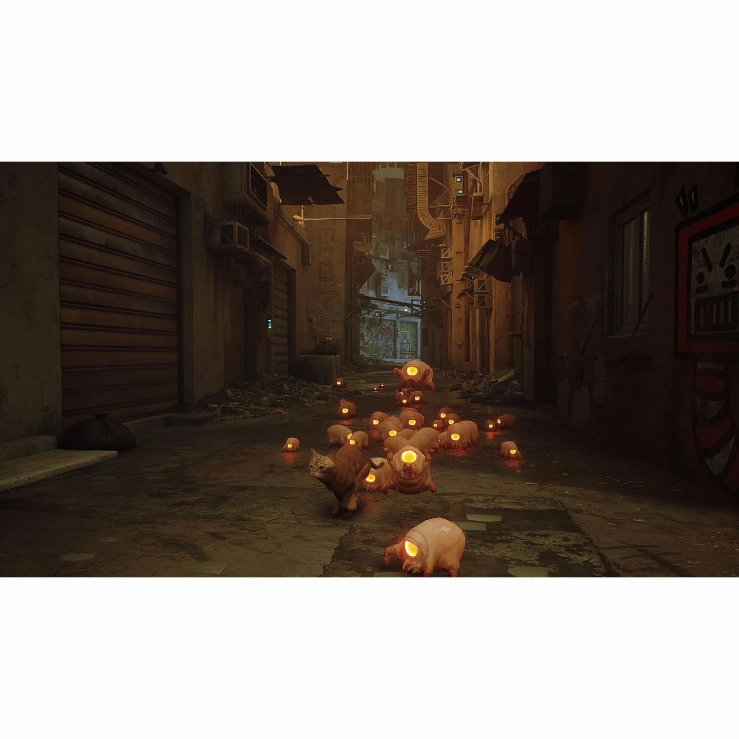 Stray (Nintendo Switch)