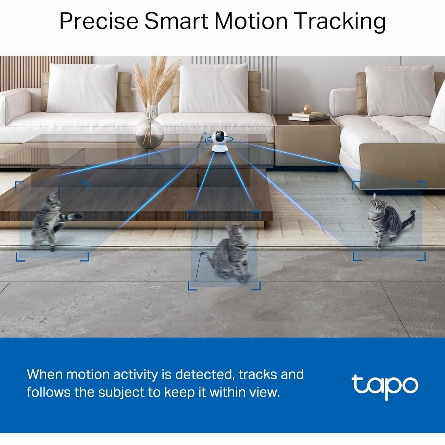 Tapo 2K QHD Indoor Pan/Tilt Security Wi-Fi Camera, AI Detection,360?? Visual Coverage, Night Vision, Customizable privacy Mode, Cloud &Local Storage, Works with Alexa&Google Home(Tapo C220)