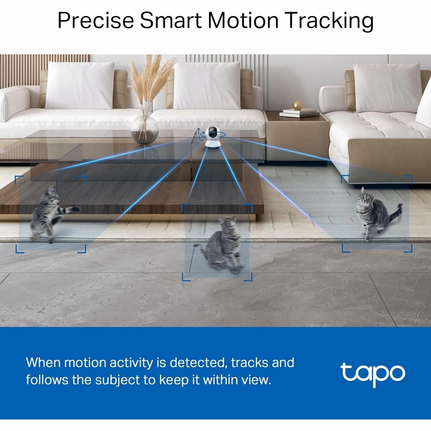 Tapo 2K QHD Indoor Pan/Tilt Security Wi-Fi Camera, AI Detection,360 Visual Coverage, Night Vision, Customizable privacy Mode, Cloud &Local Storage, Works with Alexa&Google Home(Tapo C220)