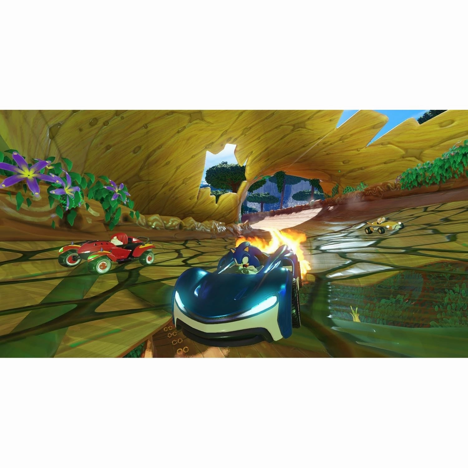 Team Sonic Racing (Nintendo Switch)