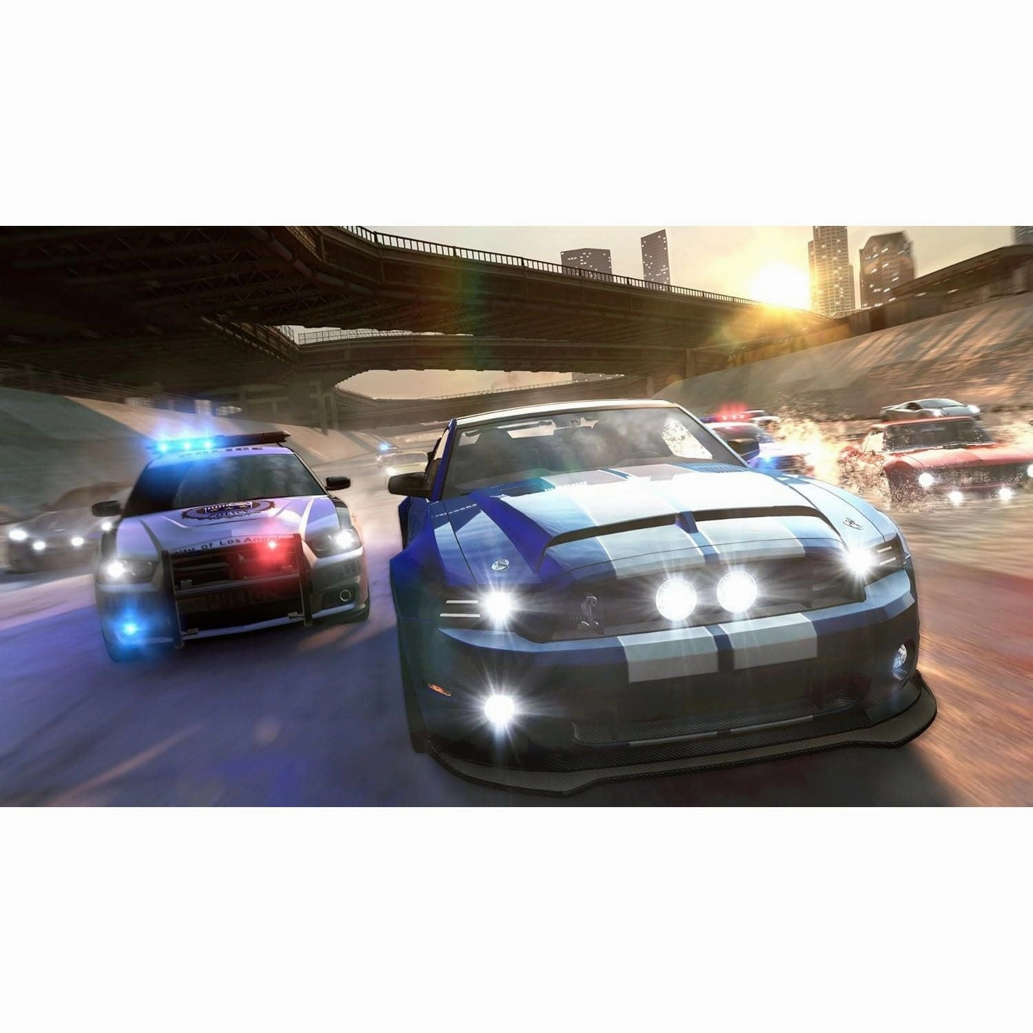 The Crew (PS4)