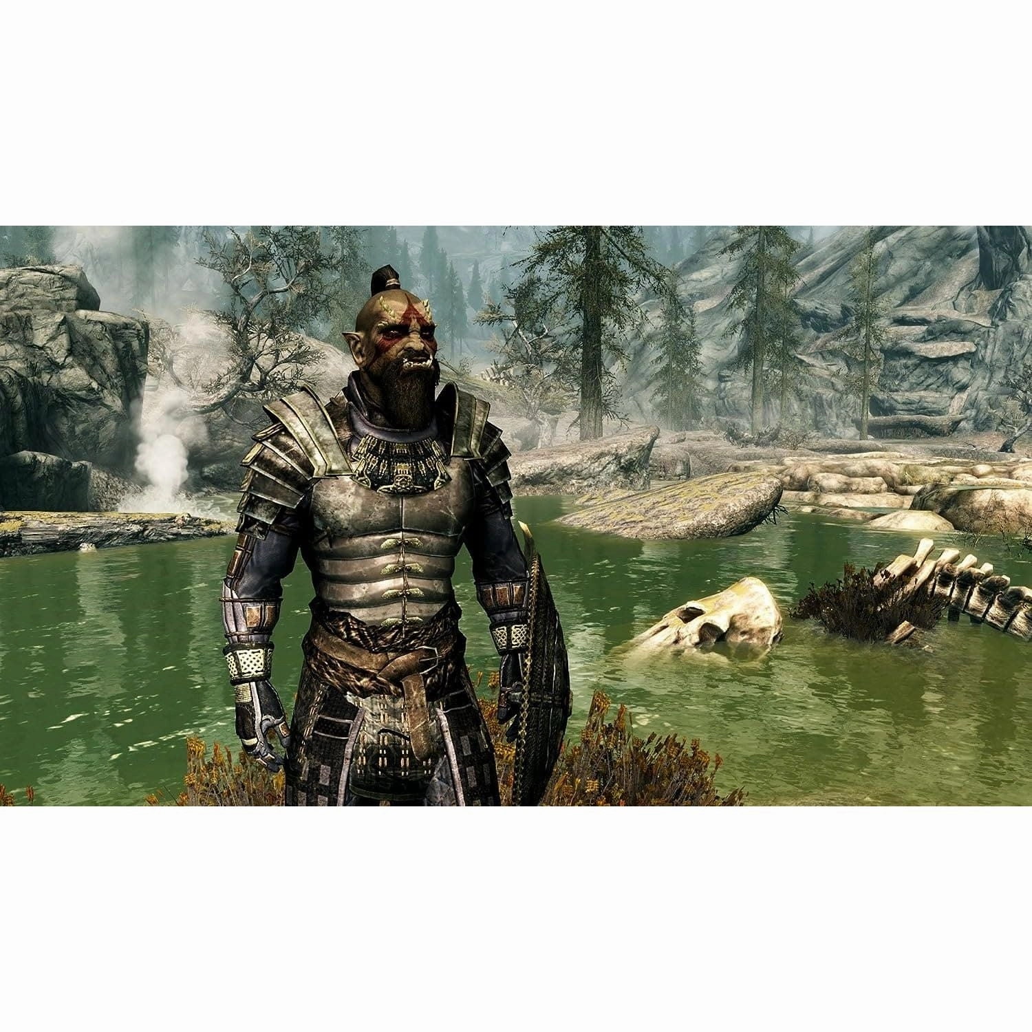 The Elder Scrolls V: Skyrim for Nintendo Switch