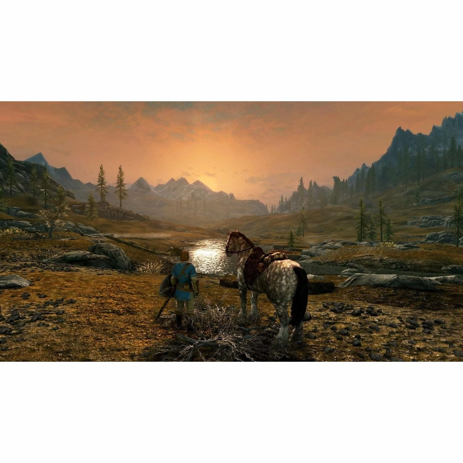 The Elder Scrolls V: Skyrim for Nintendo Switch