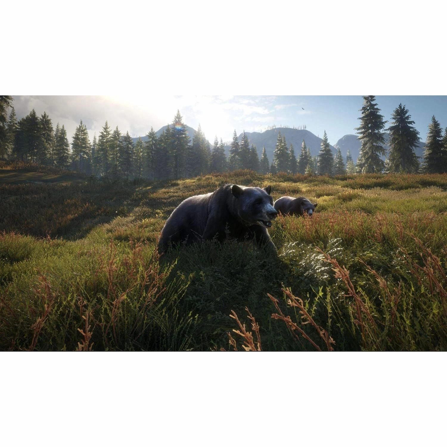 The Hunter: Call Of The Wild - 2019 Edition for Xbox One