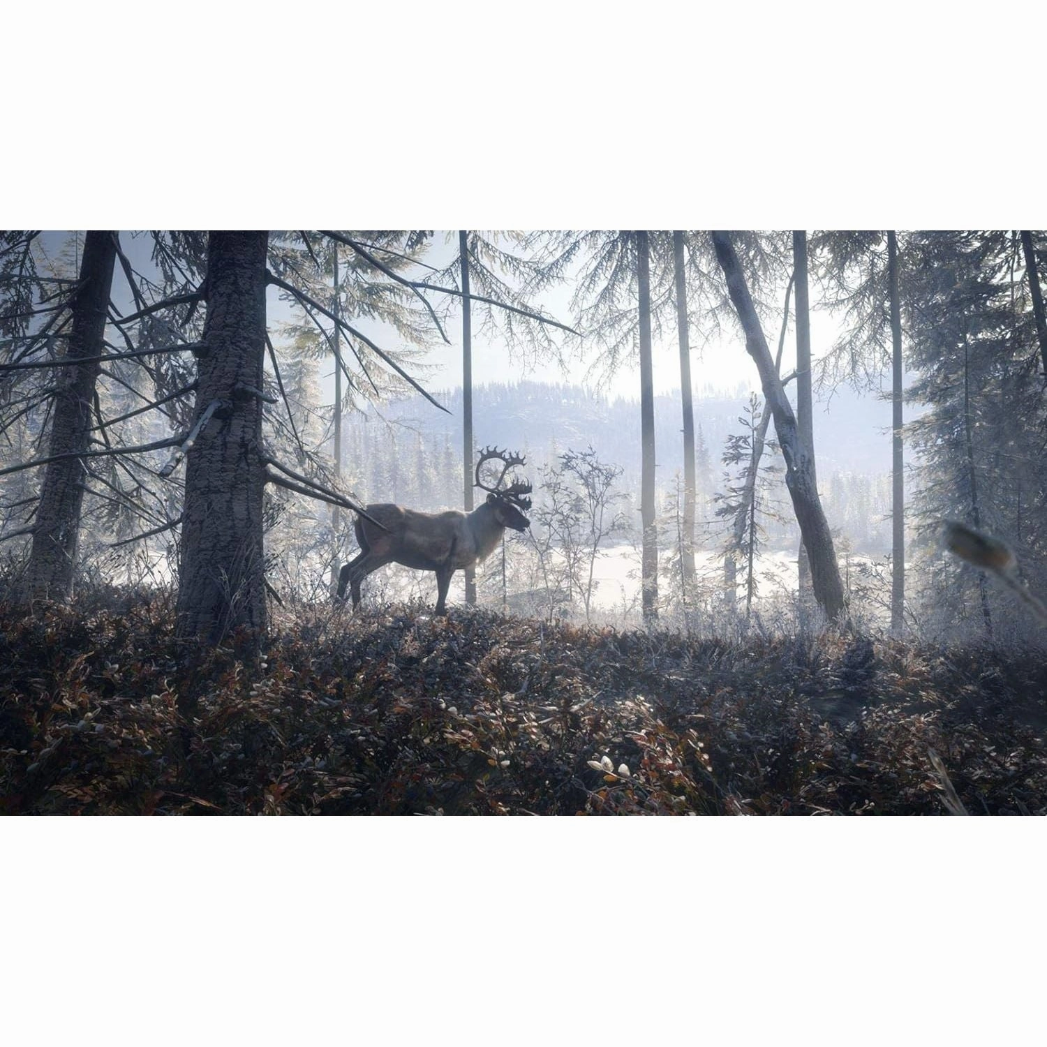 The Hunter: Call Of The Wild - 2019 Edition for Xbox One