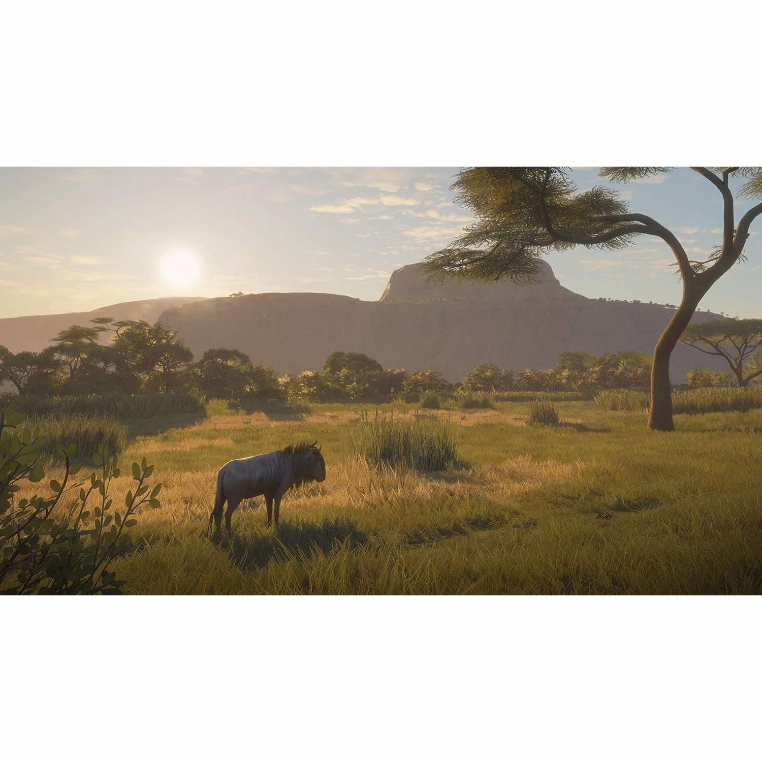 The Hunter: Call Of The Wild - 2019 Edition for Xbox One