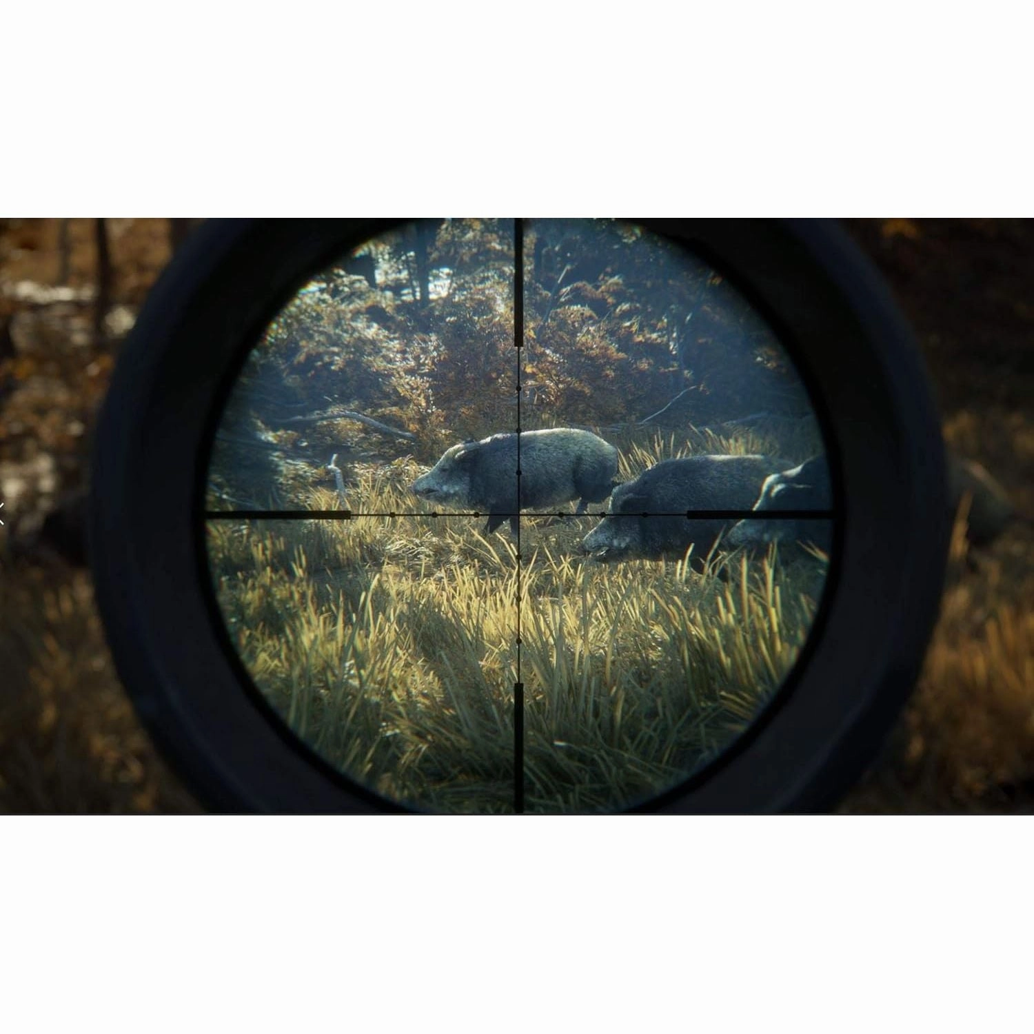 The Hunter: Call Of The Wild - 2019 Edition for Xbox One
