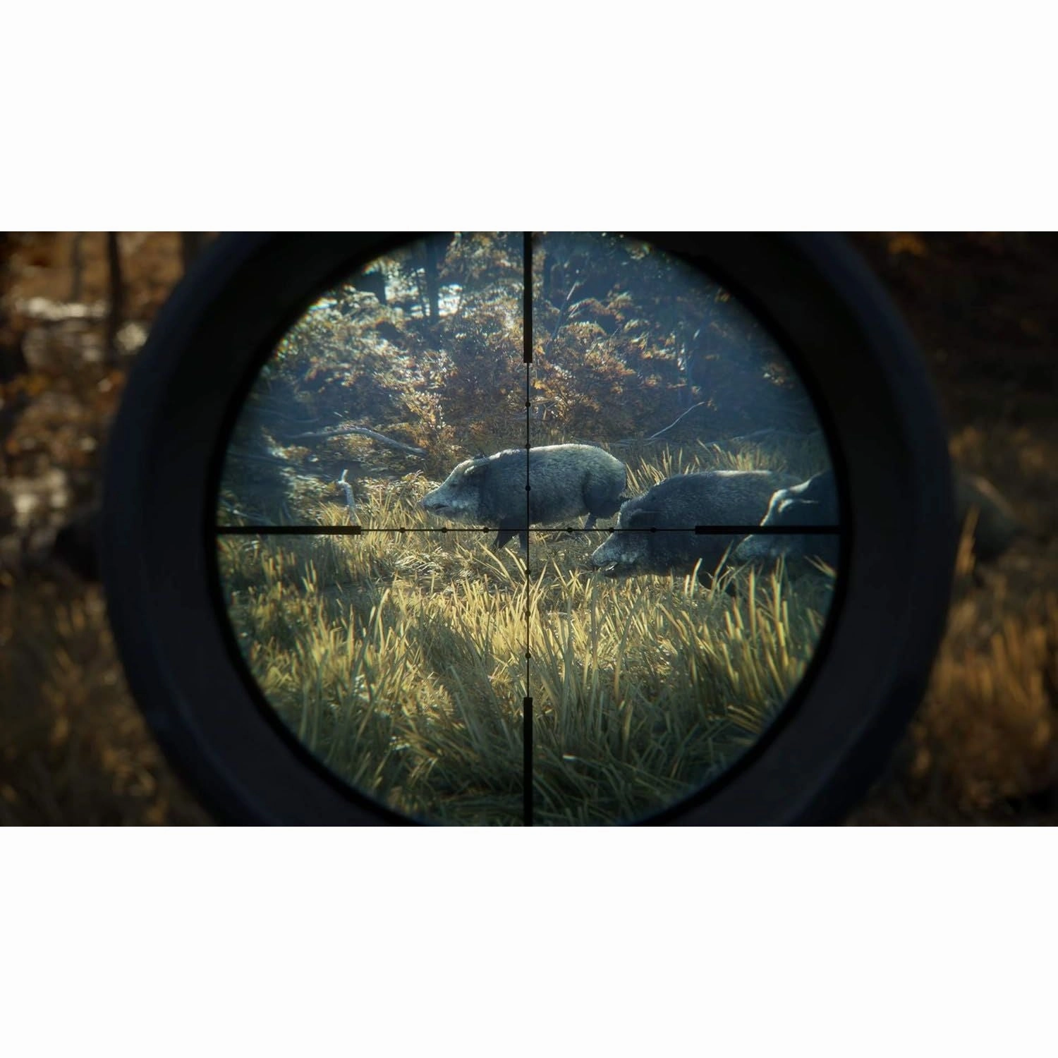 The Hunter: Call Of The Wild - 2019 Edition for Xbox One
