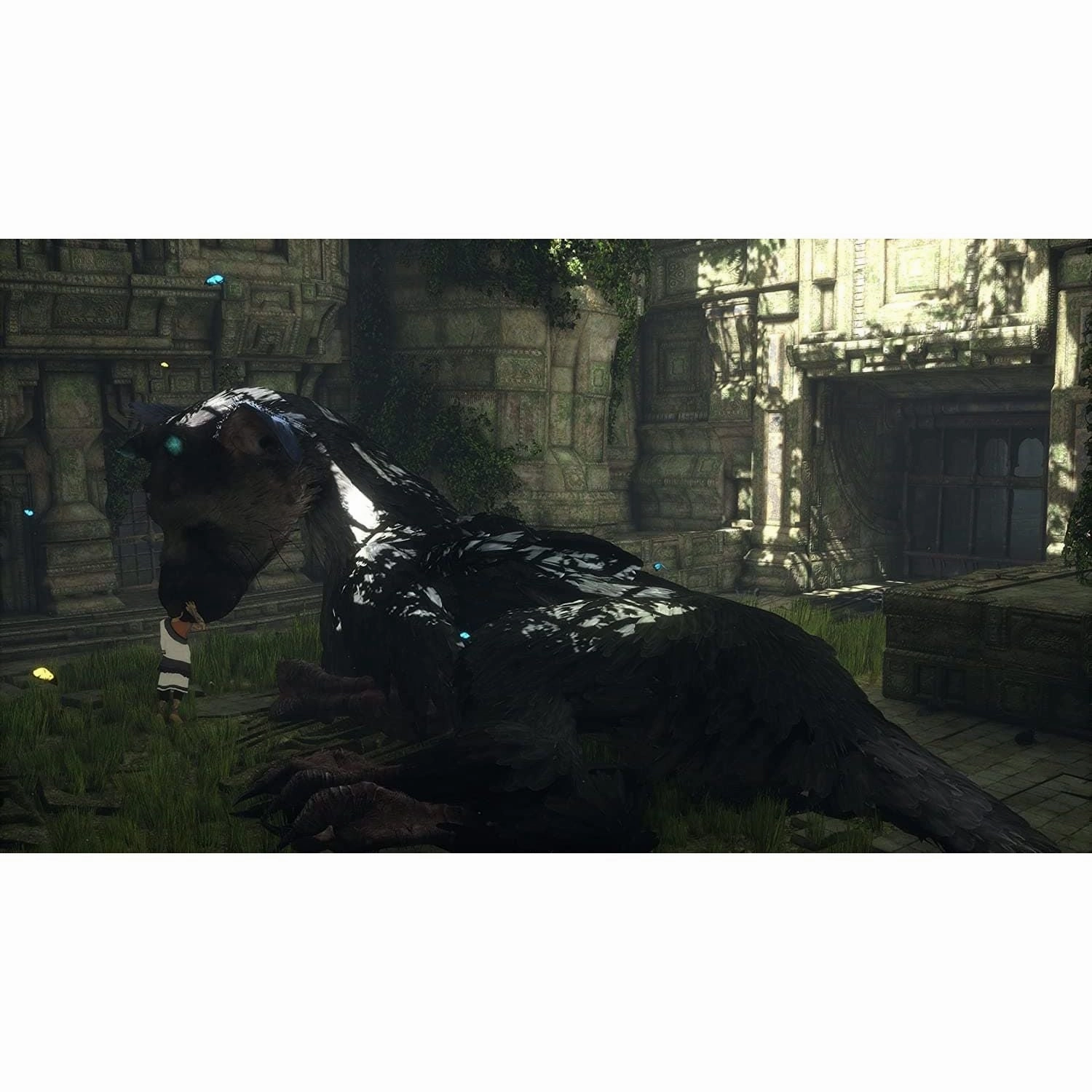 The Last Guardian - Playstation 4 Games ( PS4 Games)