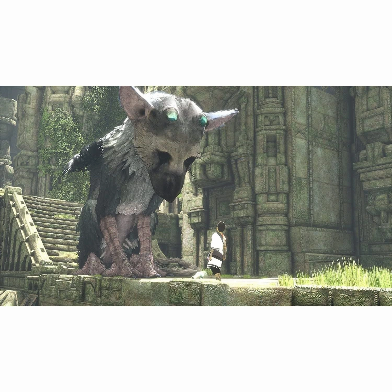 The Last Guardian - Playstation 4 Games ( PS4 Games)