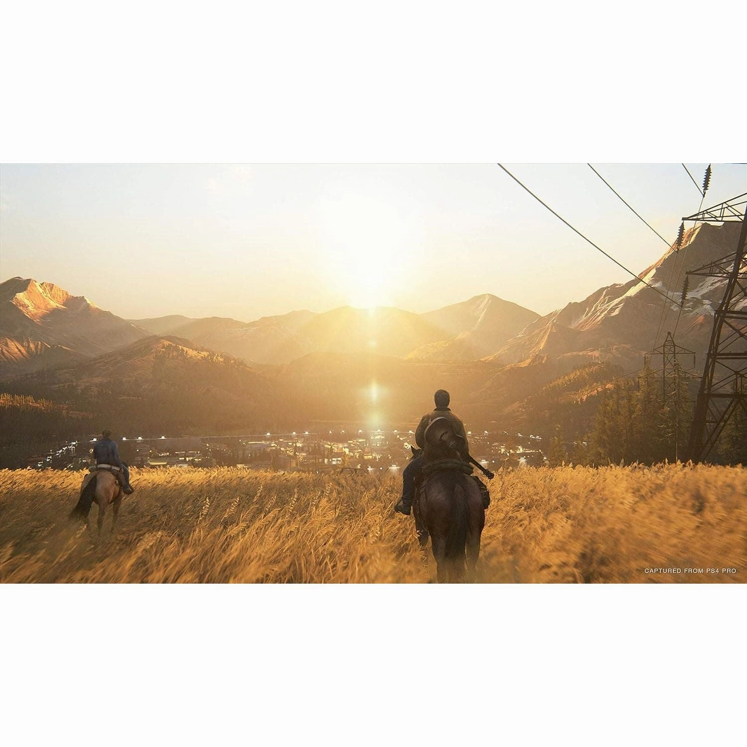 The Last Of Us Part 2 For PS4 Game