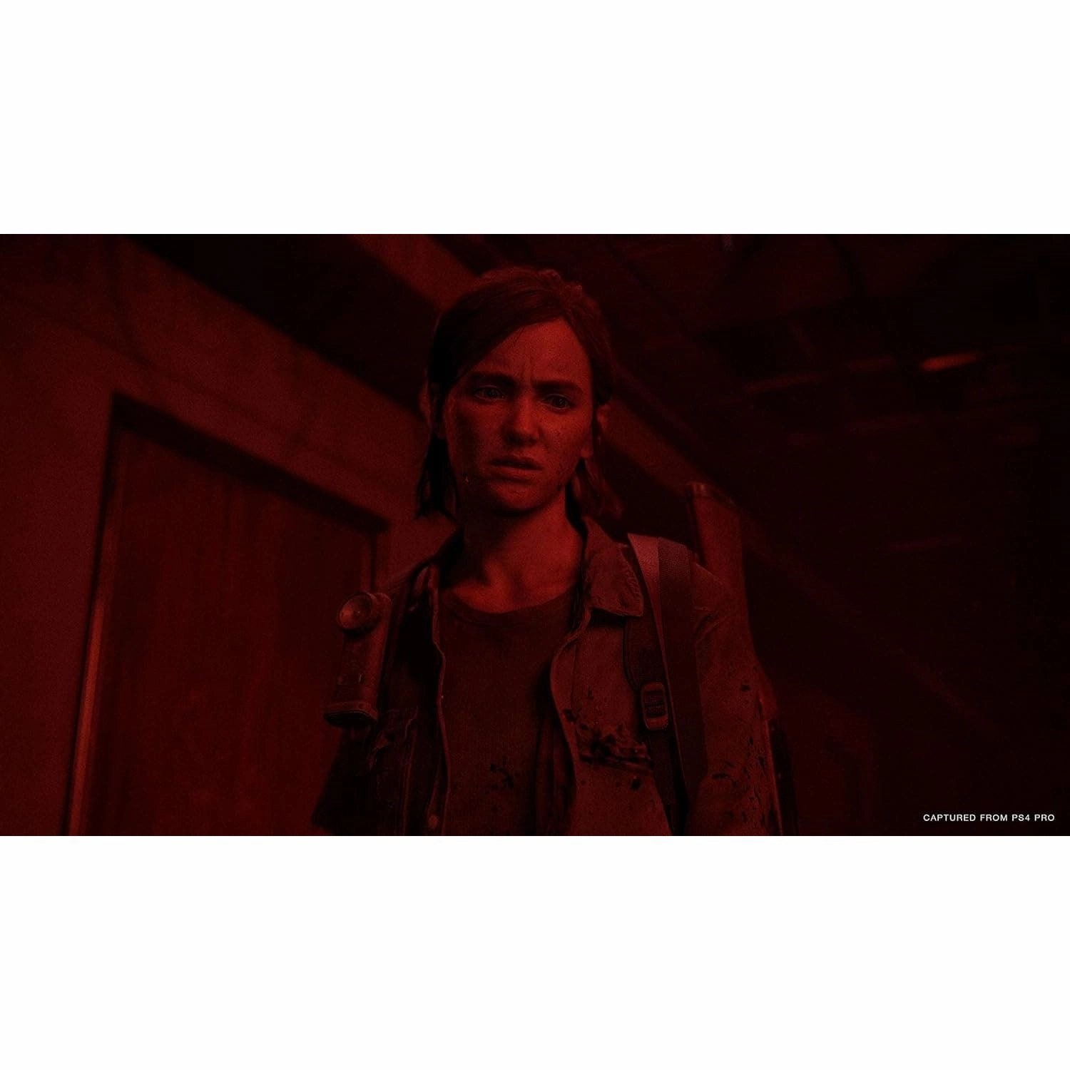 The Last Of Us Part 2 For PS4 Game