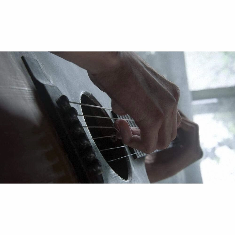 The Last of Us Part 2 for PS4 Game