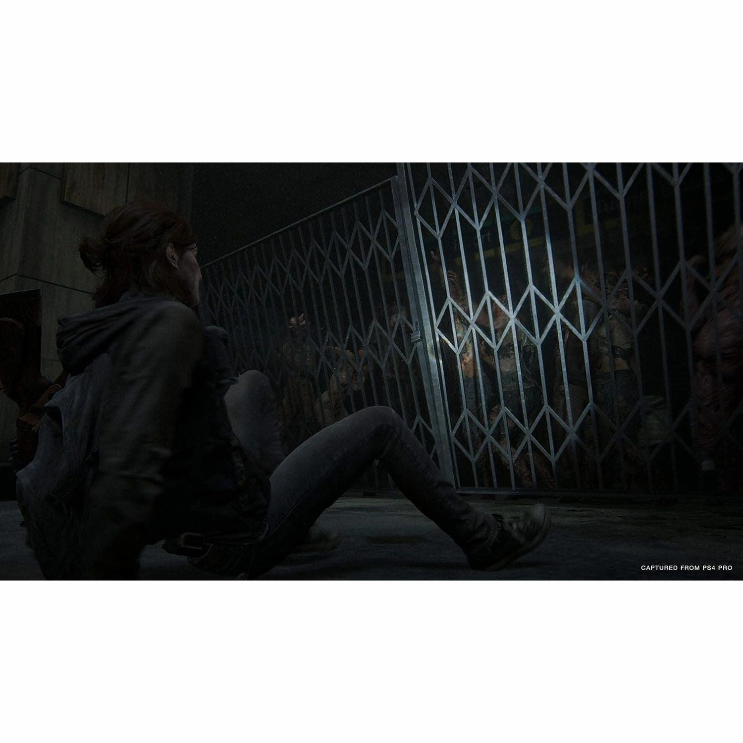 The Last Of Us Part 2 For PS4 Game