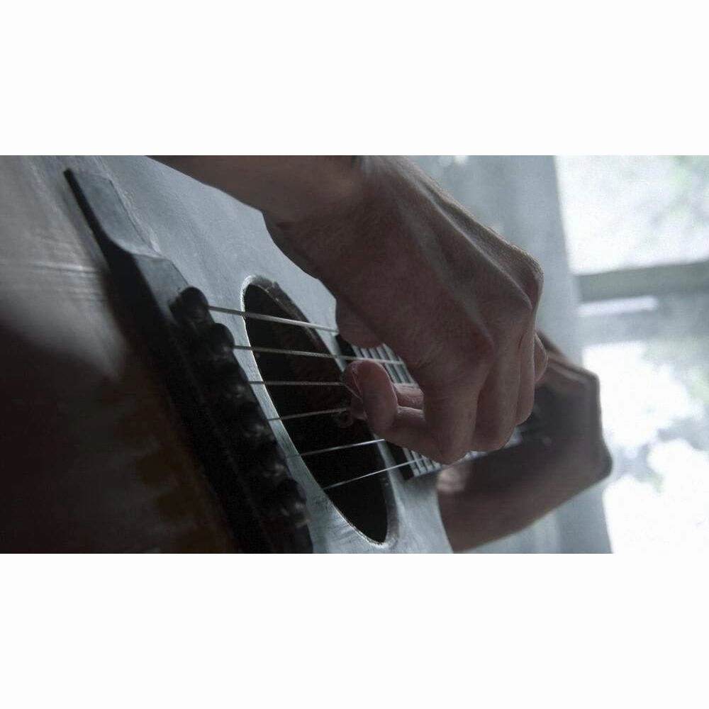 The Last of Us Part 2 for PS4 Game