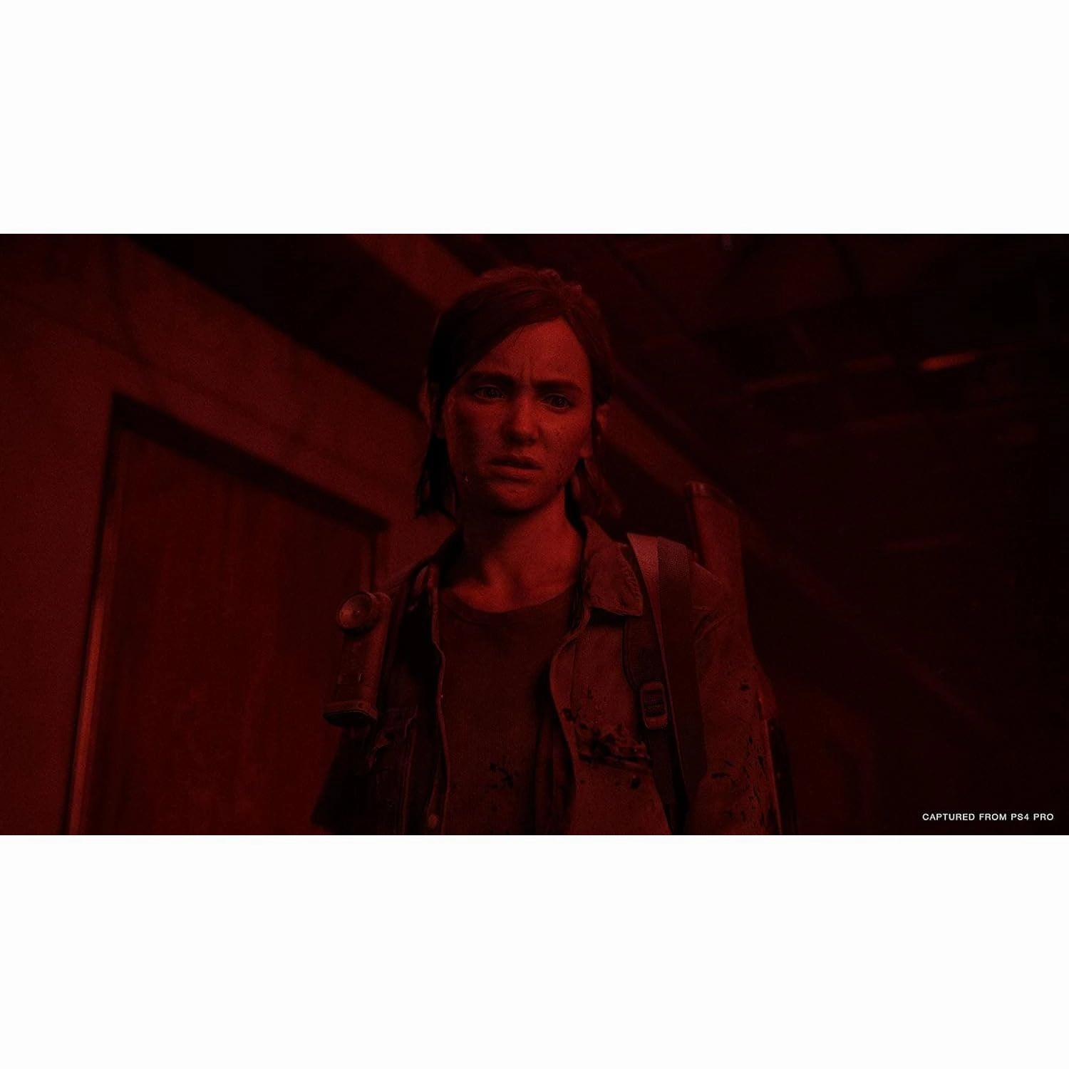 The Last Of Us Part 2 For PS4 Game