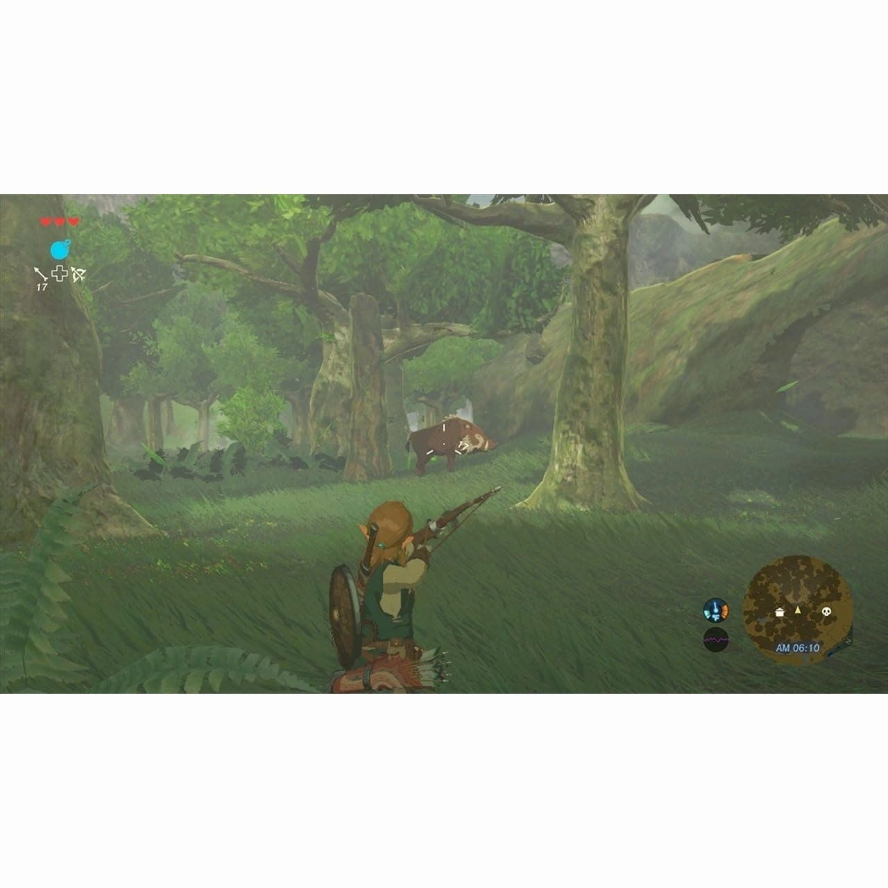 The Legend of Zelda: Breath of the Wild (Nintendo Wii U)