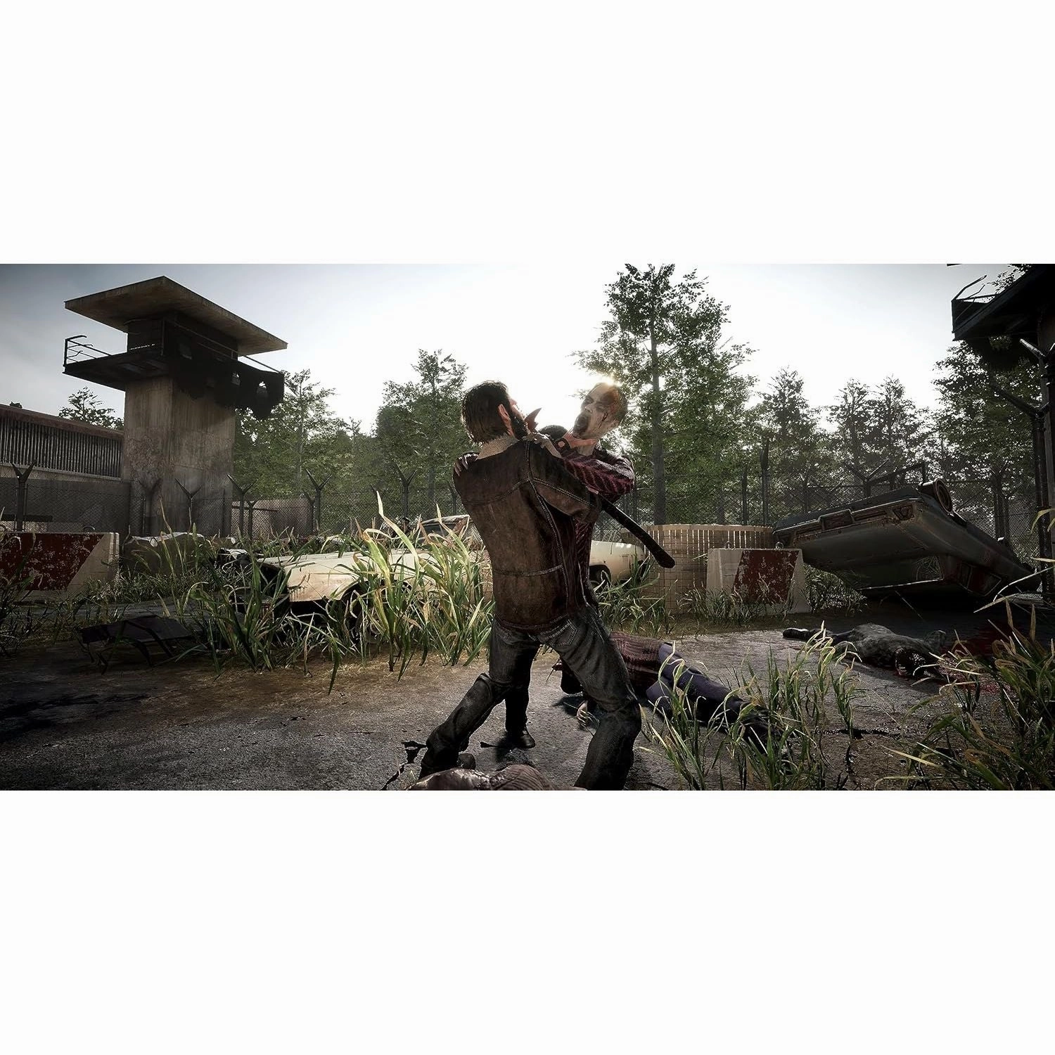 The Walking Dead: Destinies Nintendo Switch Game