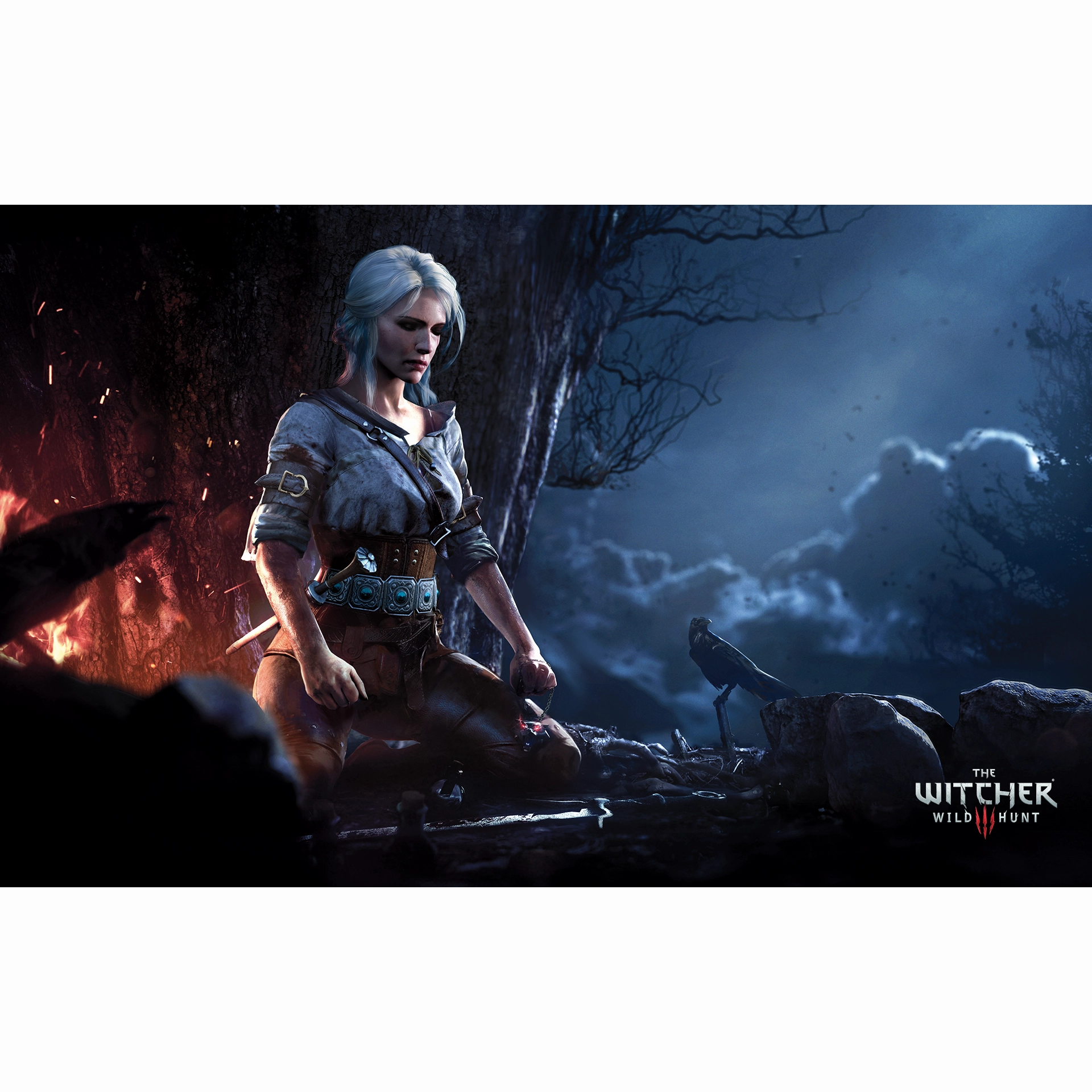 The Witcher 3 Game of the Year Edition (PS4)