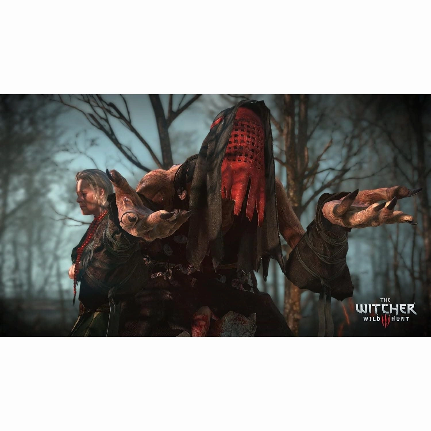 The Witcher 3: Wild Hunt (Xbox One)