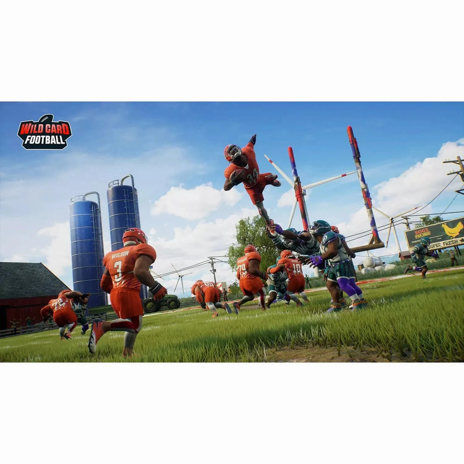 Wild Card Football Nintendo Switch Game