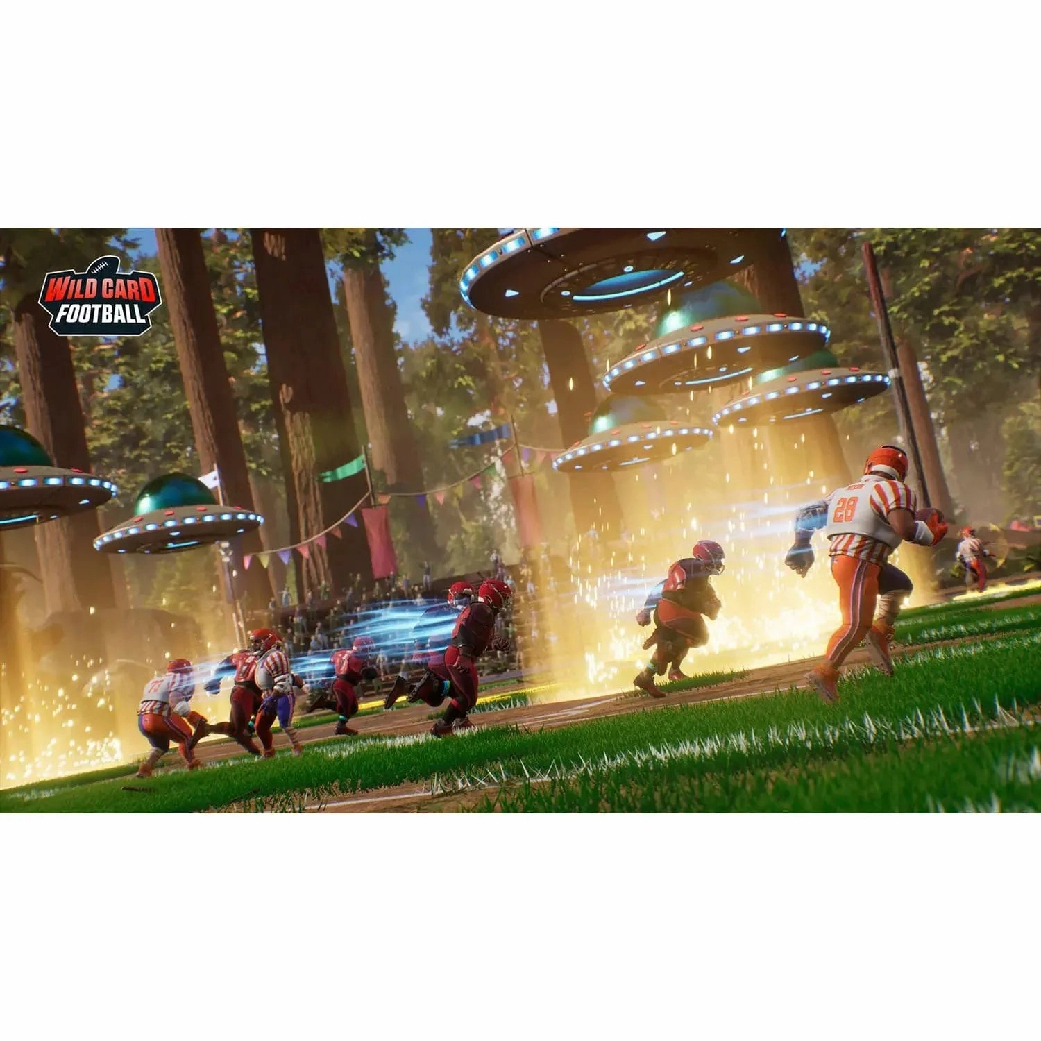 Wild Card Football Nintendo Switch Game