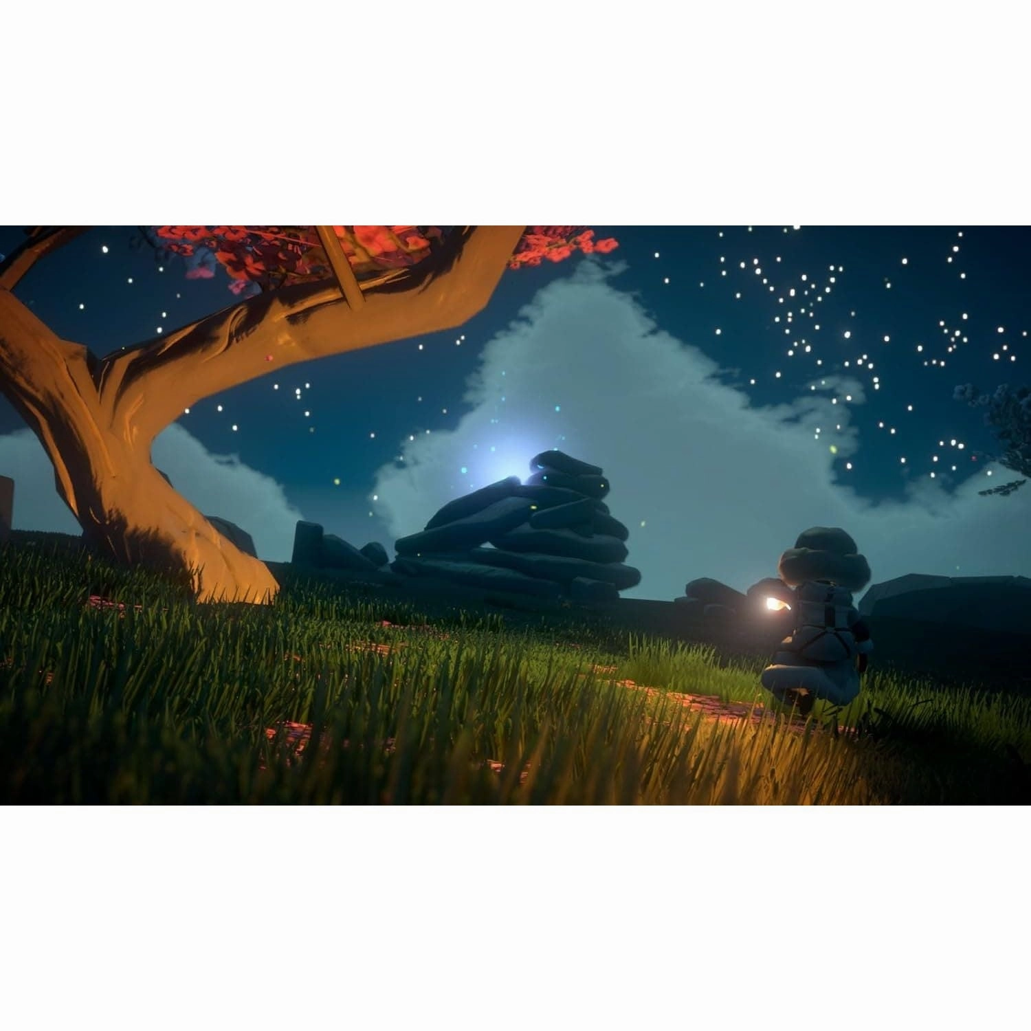 Yonder: The Cloud Catcher Chronicles (Nintendo Switch)
