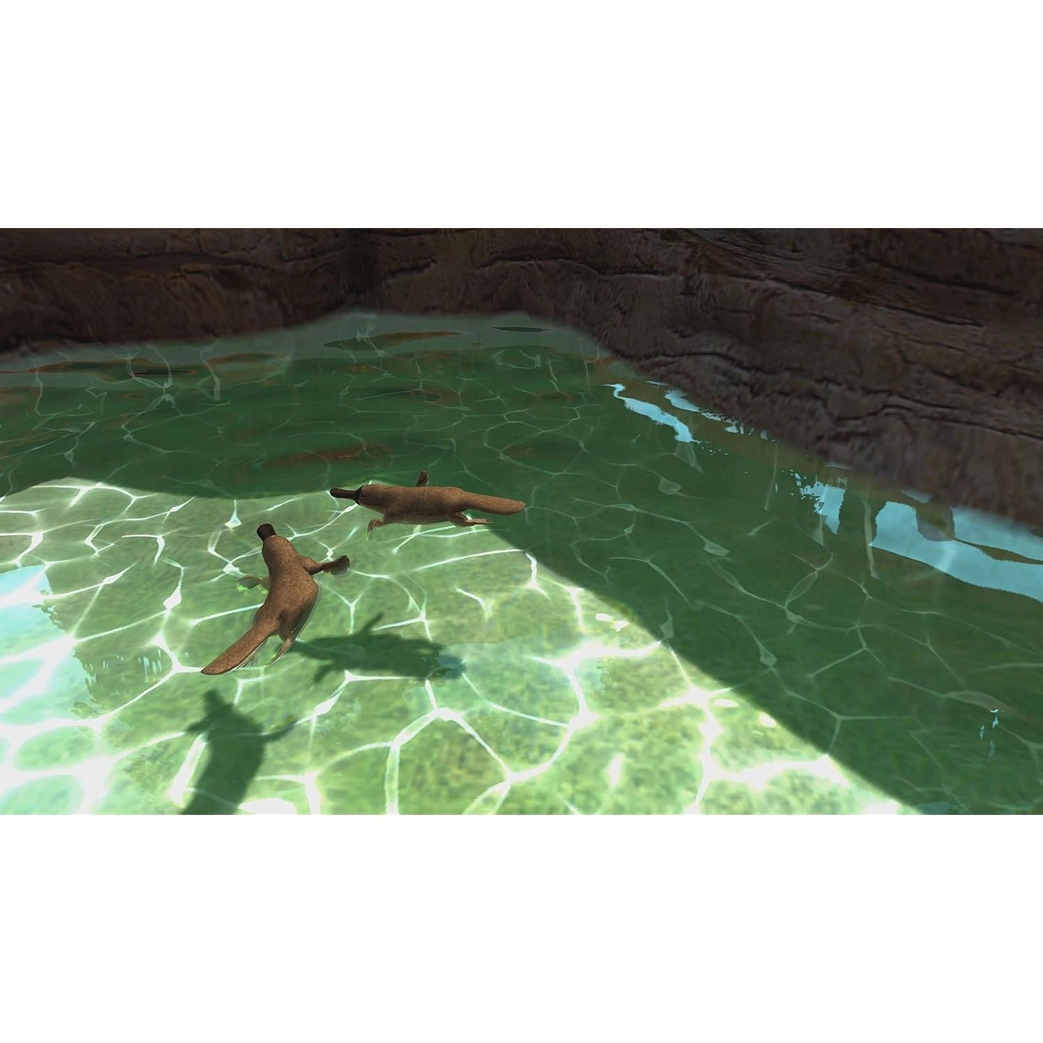 Zoo Tycoon: Ultimate Animal Collection - Xbox One Game